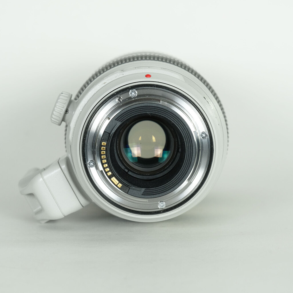 Canon EF100-400mm F4.5-5.6L IS II USM