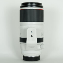 Canon RF100-500mm F4.5-7.1L IS USM