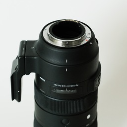 SIGMA 70-200mm F2.8 DG OS HSM｜Sports [キヤノン用]