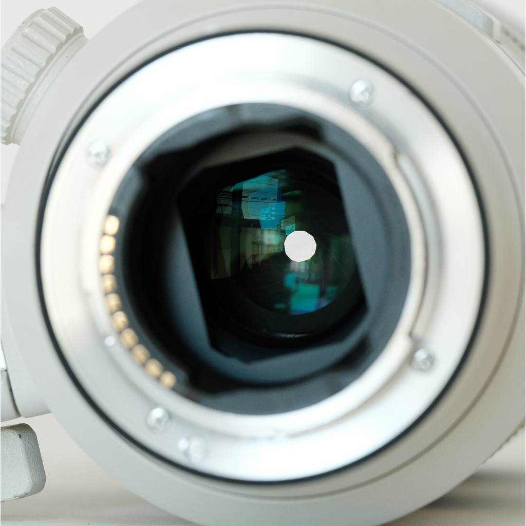 SONY FE 70-200mm F2.8 GM OSS SEL70200GM