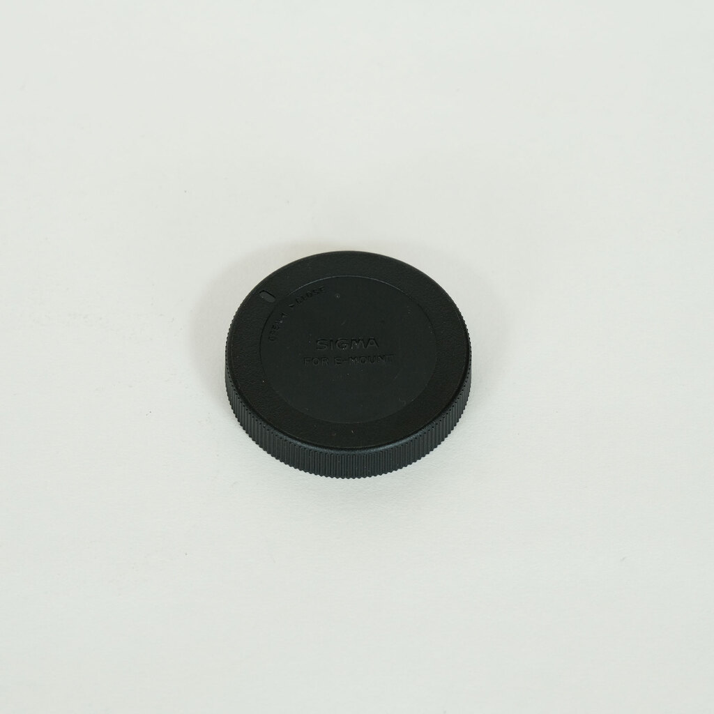 SONY FE 24-105mm F4 G OSS SEL24105G