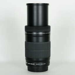 Canon EF-S55-250mm F4-5.6 IS STM