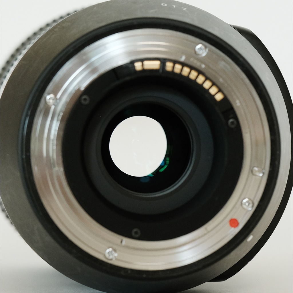 SIGMA 100-400mm F5-6.3 DG OS HSM｜Contemporary [キヤノンEF用]