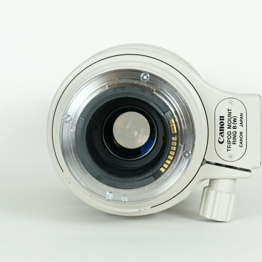 Canon EF100-400mm F4.5-5.6L IS USM