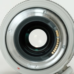 Canon EF100-400mm F4.5-5.6L IS II USM