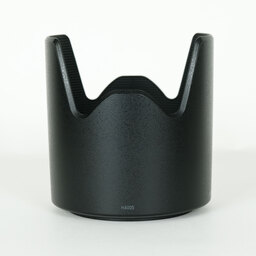 TAMRON SP 70-300mm F/4-5.6 Di VC USD (Model A030) [ニコンF用]