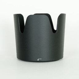 Nikon AF-P NIKKOR 70-300mm f/4.5-5.6E ED VR