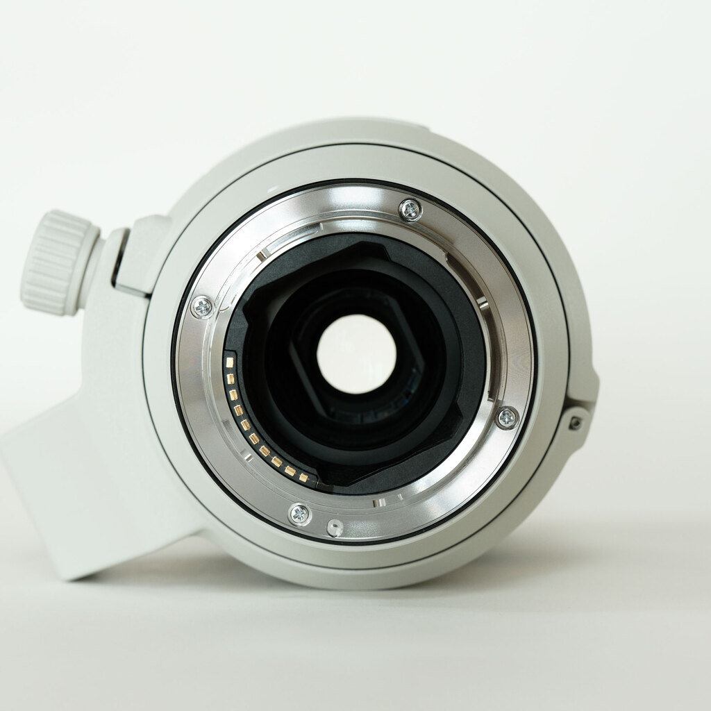 SONY FE70-200mm F4 Macro G OSS II SEL70200G2