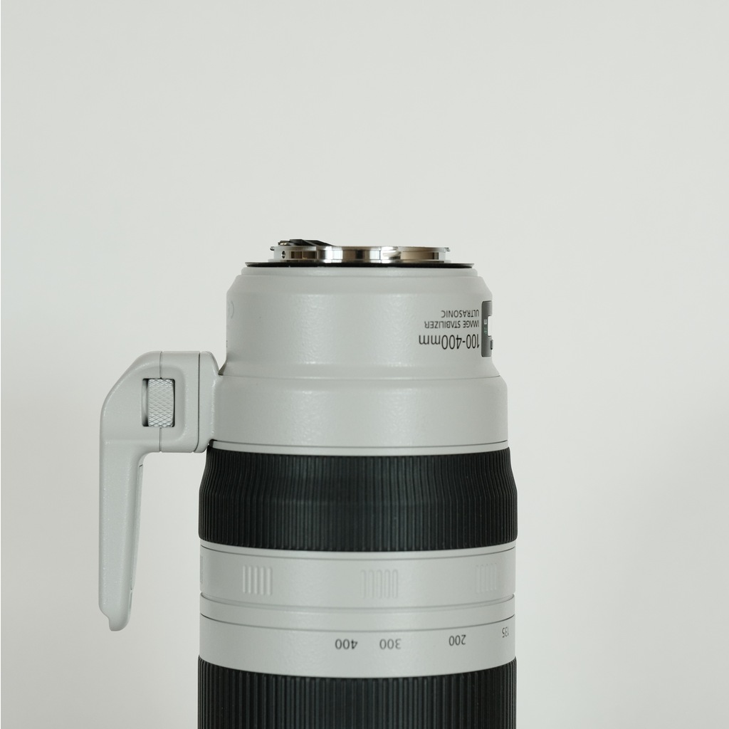 Canon EF100-400mm F4.5-5.6L IS II USMの出品 | ONE SCENE