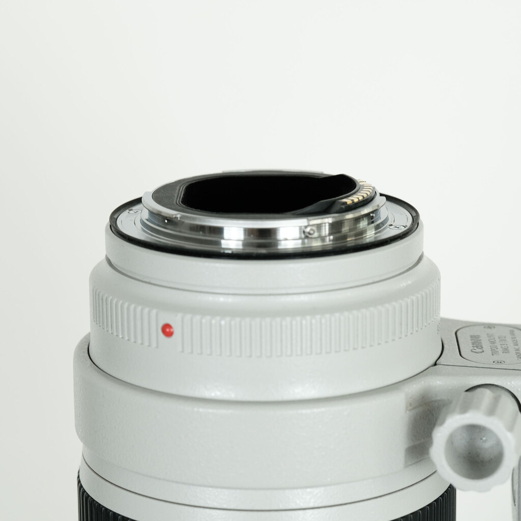 Canon EF70-200mm F2.8L IS III USM