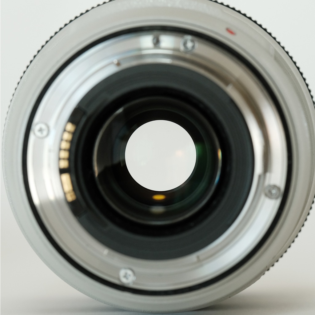 Canon EF70-300mm F4-5.6L IS USM