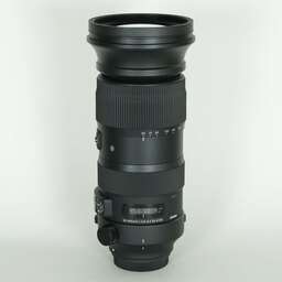 SIGMA 60-600mm F4.5-6.3 DG OS HSM | Sports [キヤノン用]