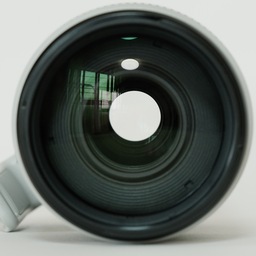 Canon EF100-400mm F4.5-5.6L IS II USM