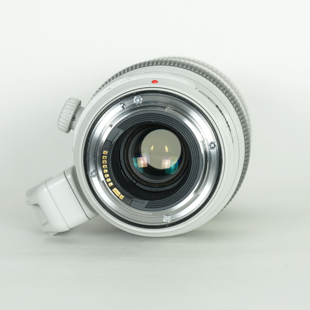 Canon EF100-400mm F4.5-5.6L IS II USM