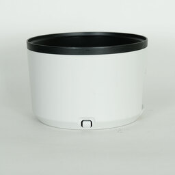 Canon RF100-500mm F4.5-7.1L IS USM