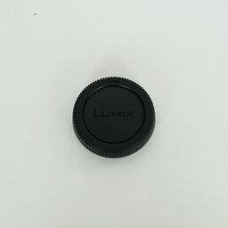 Panasonic LEICA DG VARIO-ELMAR 100-400mm / F4.0-6.3 II ASPH. / POWER O.I.S.