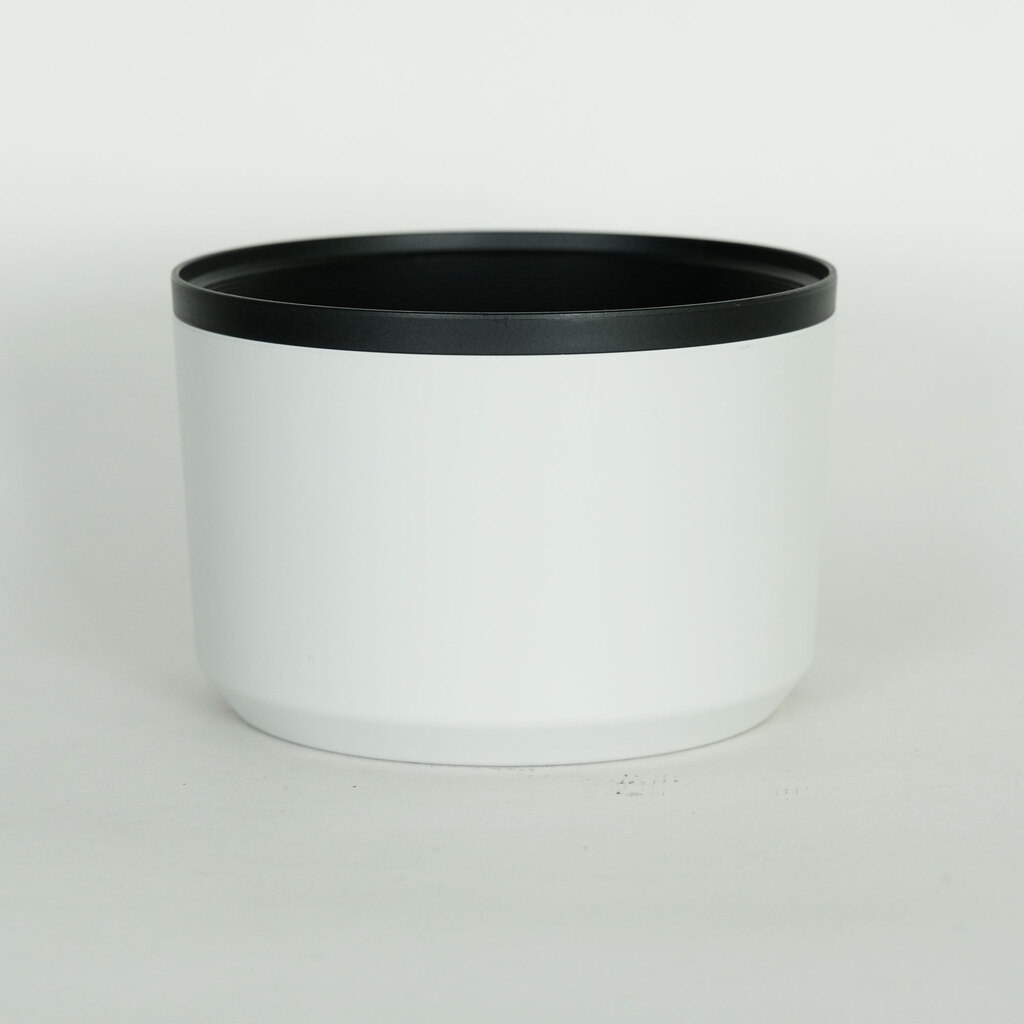 Canon RF100-500mm F4.5-7.1L IS USM