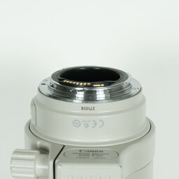 Canon EF100-400mm F4.5-5.6L IS USM