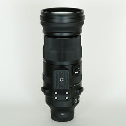 SIGMA 150-600mm F5-6.3 DG DN OS｜Sports [ソニーE用]