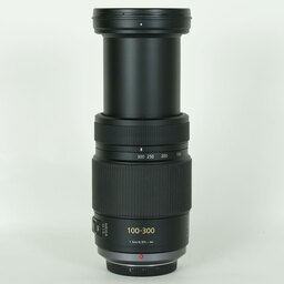 Panasonic LUMIX G VARIO 100-300mm / F4.0-5.6 / POWER O.I.S.