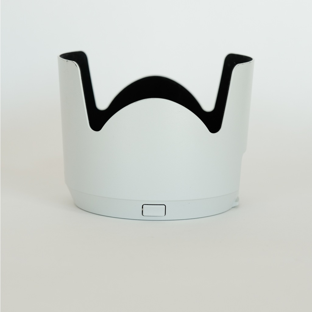 SONY FE 70-200mm F2.8 GM OSS SEL70200GM