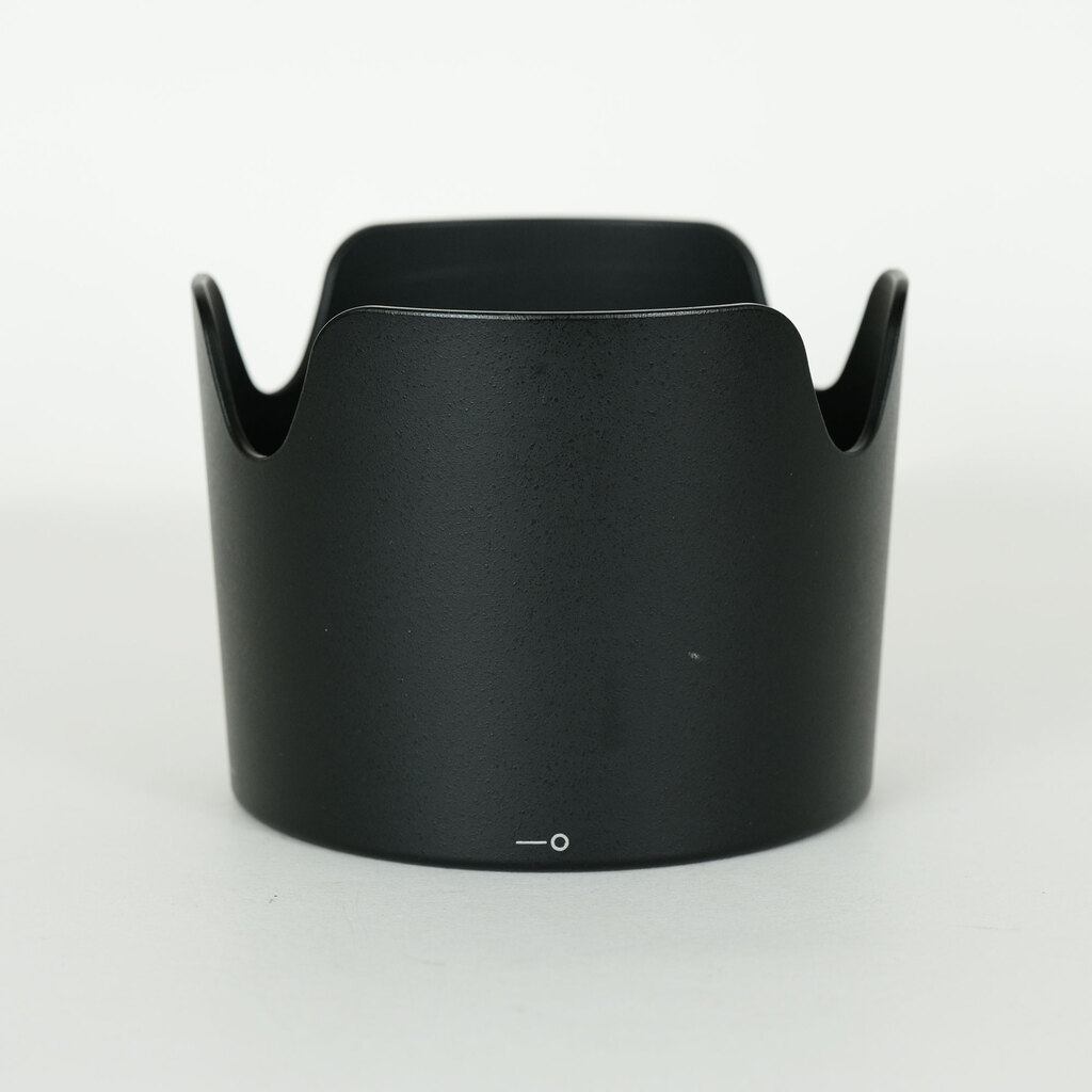 Nikon AF-S VR Zoom-Nikkor 70-300mm F4.5-5.6G IF-ED