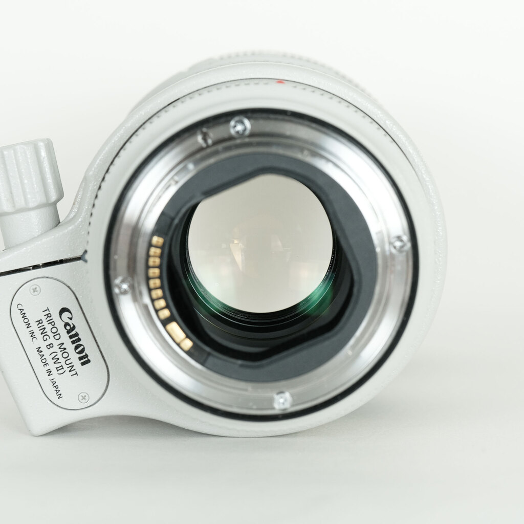 Canon EF70-200mm F2.8L IS III USM