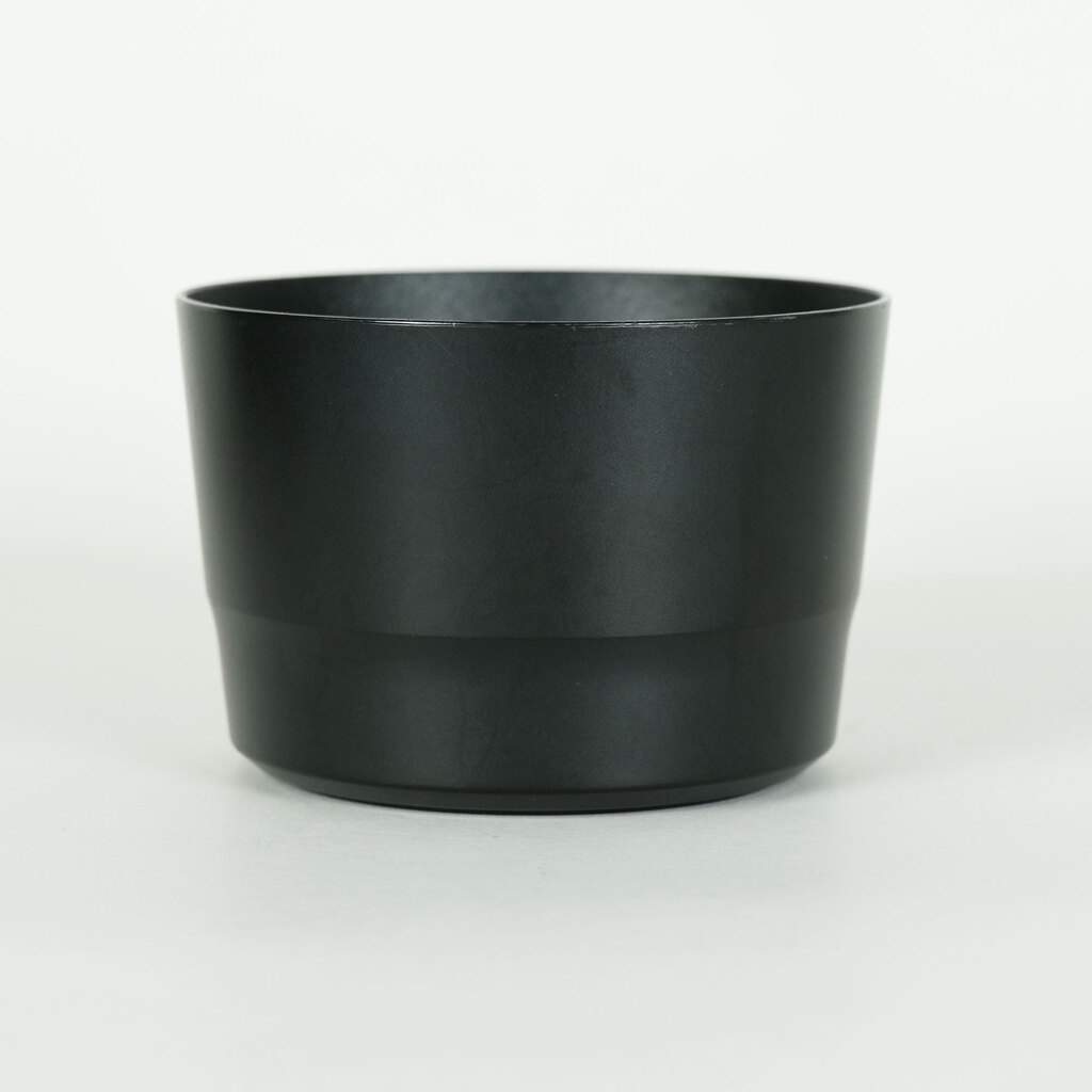 Canon EF-S55-250mm F4-5.6 IS STM