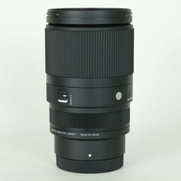 SIGMA 16-300mm F3.5-6.7 DC OS｜Contemporary [ソニーE用]