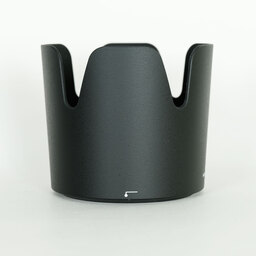 Nikon AF-P NIKKOR 70-300mm f/4.5-5.6E ED VR