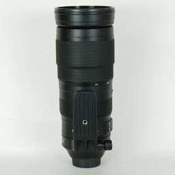 Nikon AF-S NIKKOR 200-500mm f/5.6E ED VR