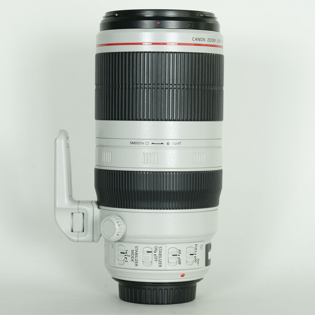 Canon EF100-400mm F4.5-5.6L IS II USM