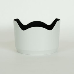 SONY FE70-200mm F4 Macro G OSS II SEL70200G2