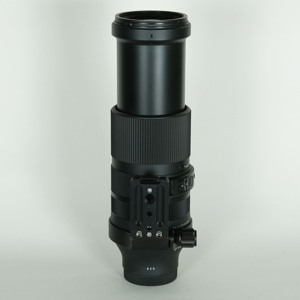 SIGMA 100-400mm F5-6.3 DG DN OS｜Contemporary [ソニーE用]