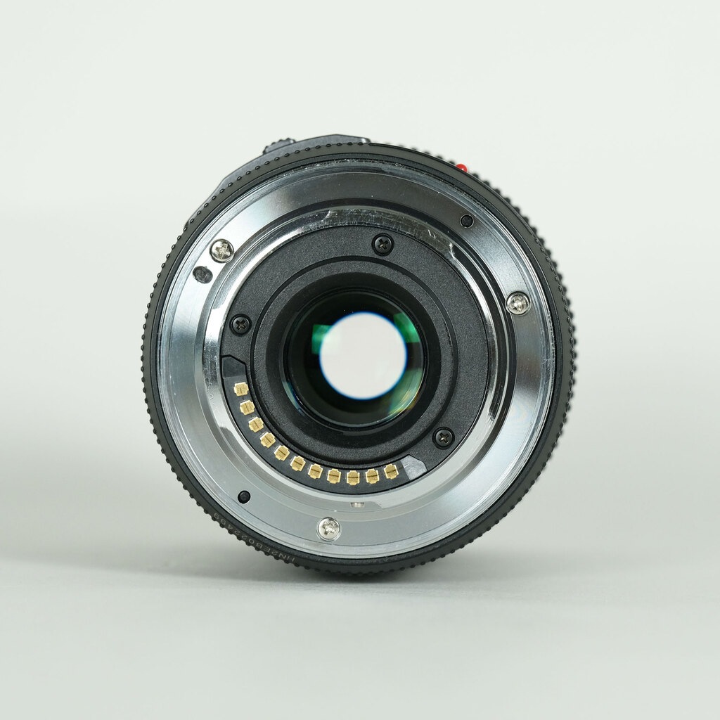 Panasonic LUMIX G X VARIO PZ 45-175mm / F4.0-5.6 ASPH. / POWER O.I.S.