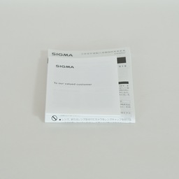 SIGMA 24-70mm F2.8 DG DN｜Art [ソニーE用]