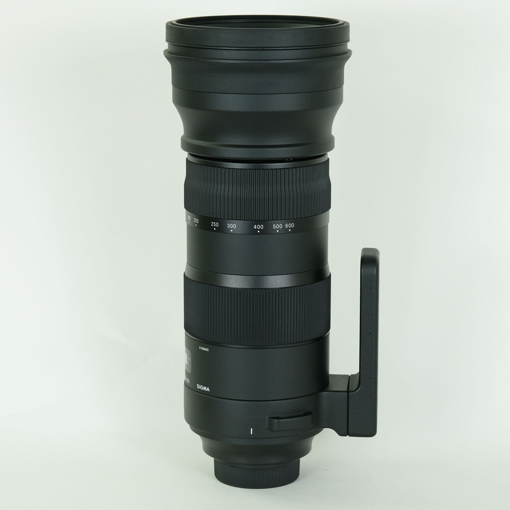 SIGMA 150-600mm F5-6.3 DG OS HSM｜Sports [ニコンF用]