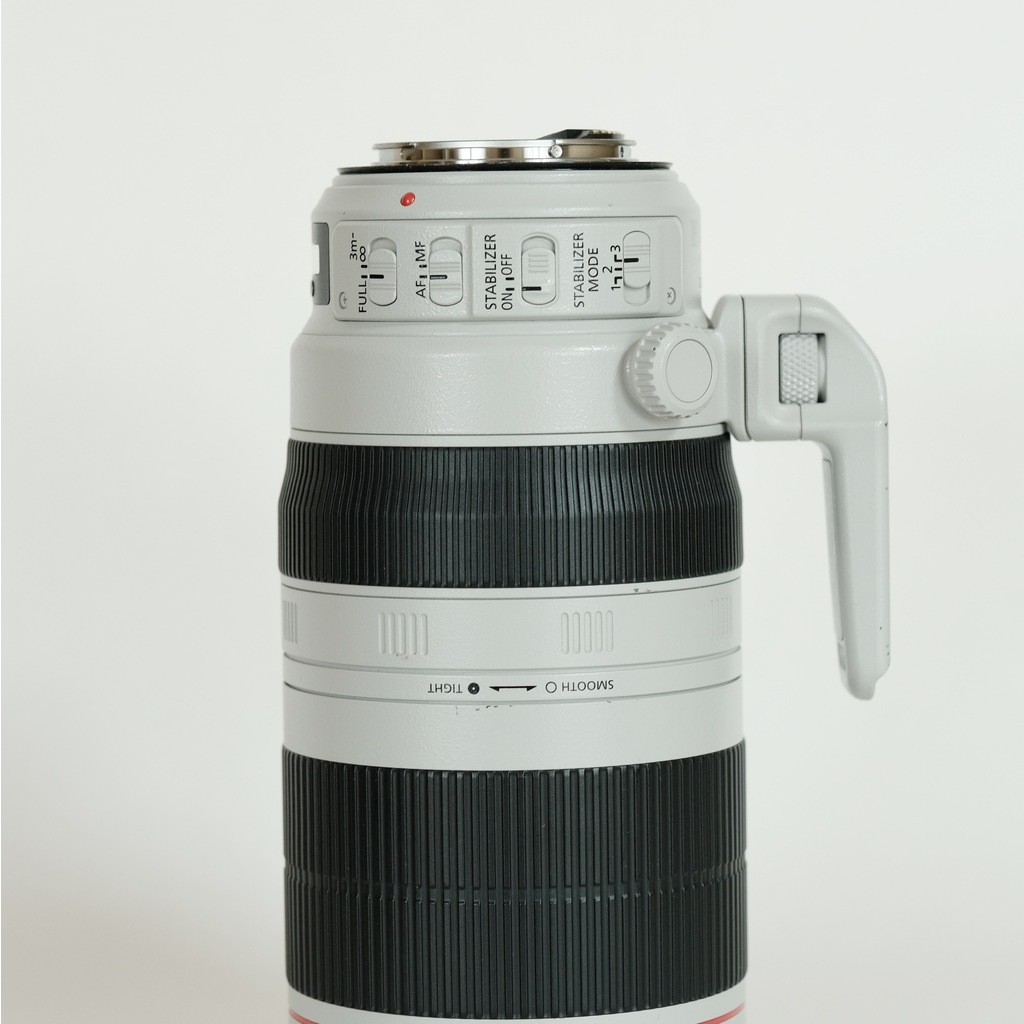 Canon EF100-400mm F4.5-5.6L IS II USM