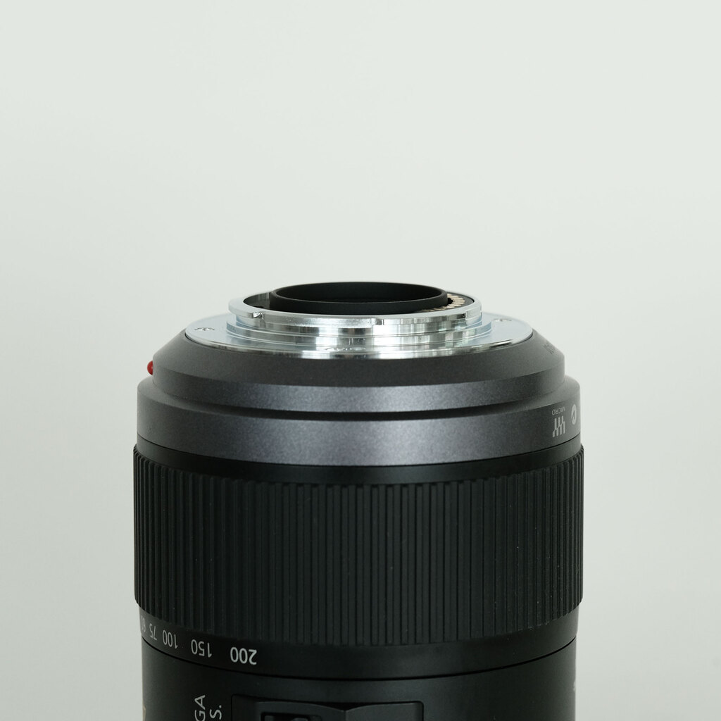 Panasonic LUMIX G VARIO 45-200mm F4.0-F5.6 MEGA O.I.S. H-FS045200