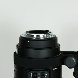 SIGMA APO 50-500mm F4.5-6.3 DG OS HSM (キヤノンEF用)