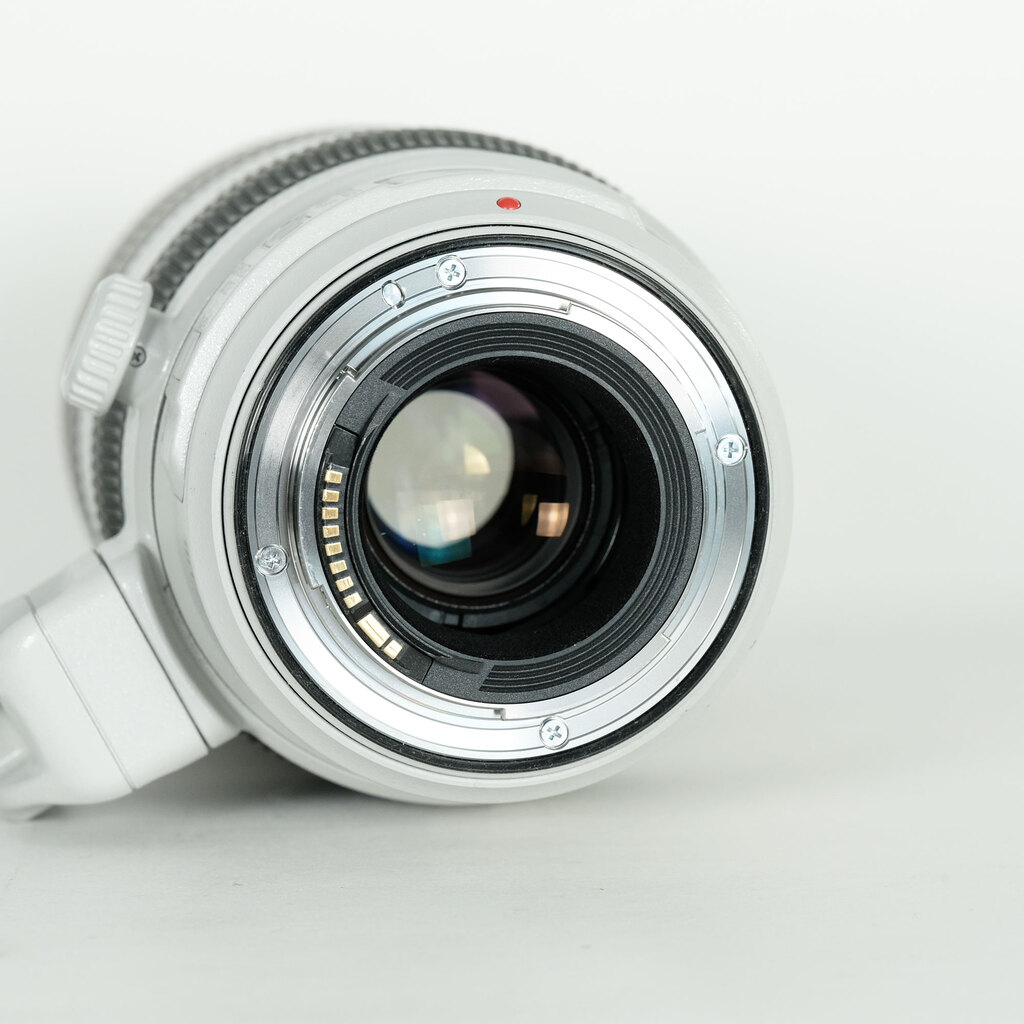 Canon EF100-400mm F4.5-5.6L IS II USM Canon EF100-400mm F4.5-5.6L IS II USM