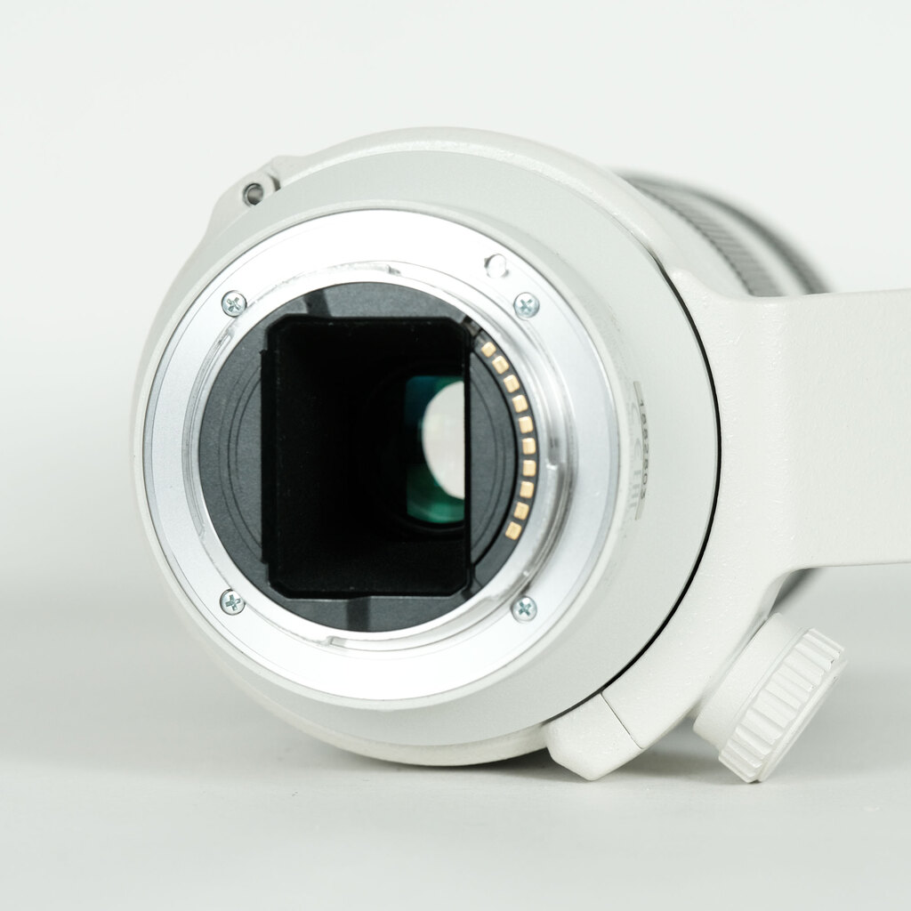 SONY FE 70-200mm F4 G OSS SEL70200G