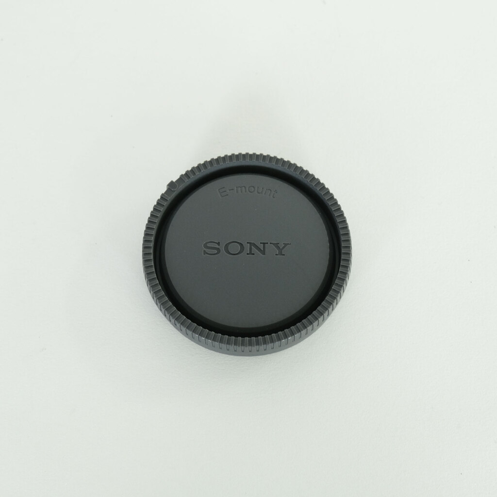 SONY FE 24-105mm F4 G OSS SEL24105G