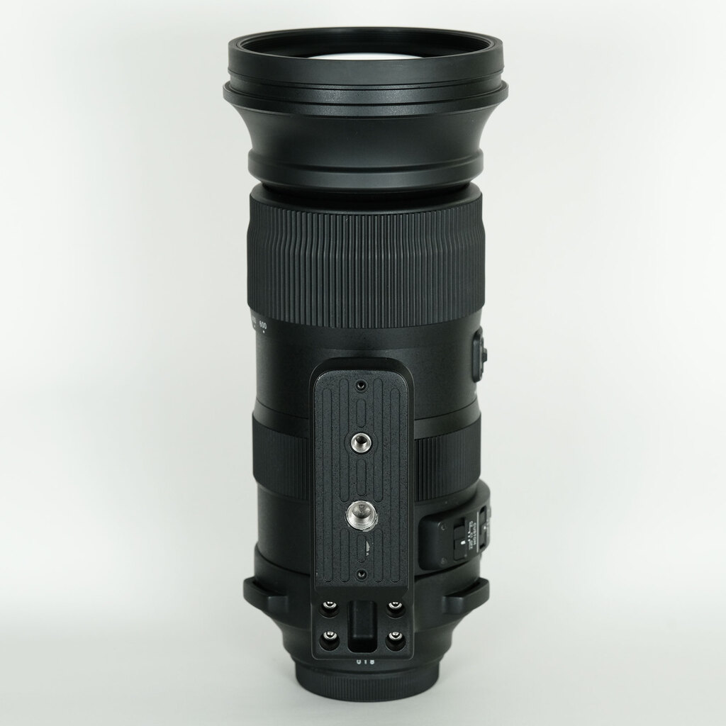 SIGMA 60-600mm F4.5-6.3 DG OS HSM | Sports [キヤノン用]の