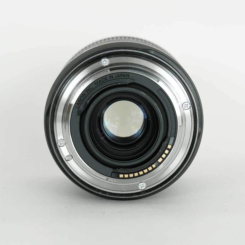 Canon RF28-70mm F2.8 IS STM