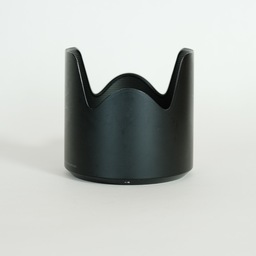 TAMRON SP 70-200mm F/2.8 Di VC USD G2 (Model A025) [ニコンF用]