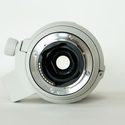 SONY FE70-200mm F4 Macro G OSS II SEL70200G2