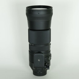 SIGMA 150-600mm F5-6.3 DG OS HSM｜Contemporary [ニコンF用]
