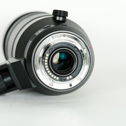 Panasonic LEICA DG VARIO-ELMAR 100-400mm / F4.0-6.3 II ASPH. / POWER O.I.S.