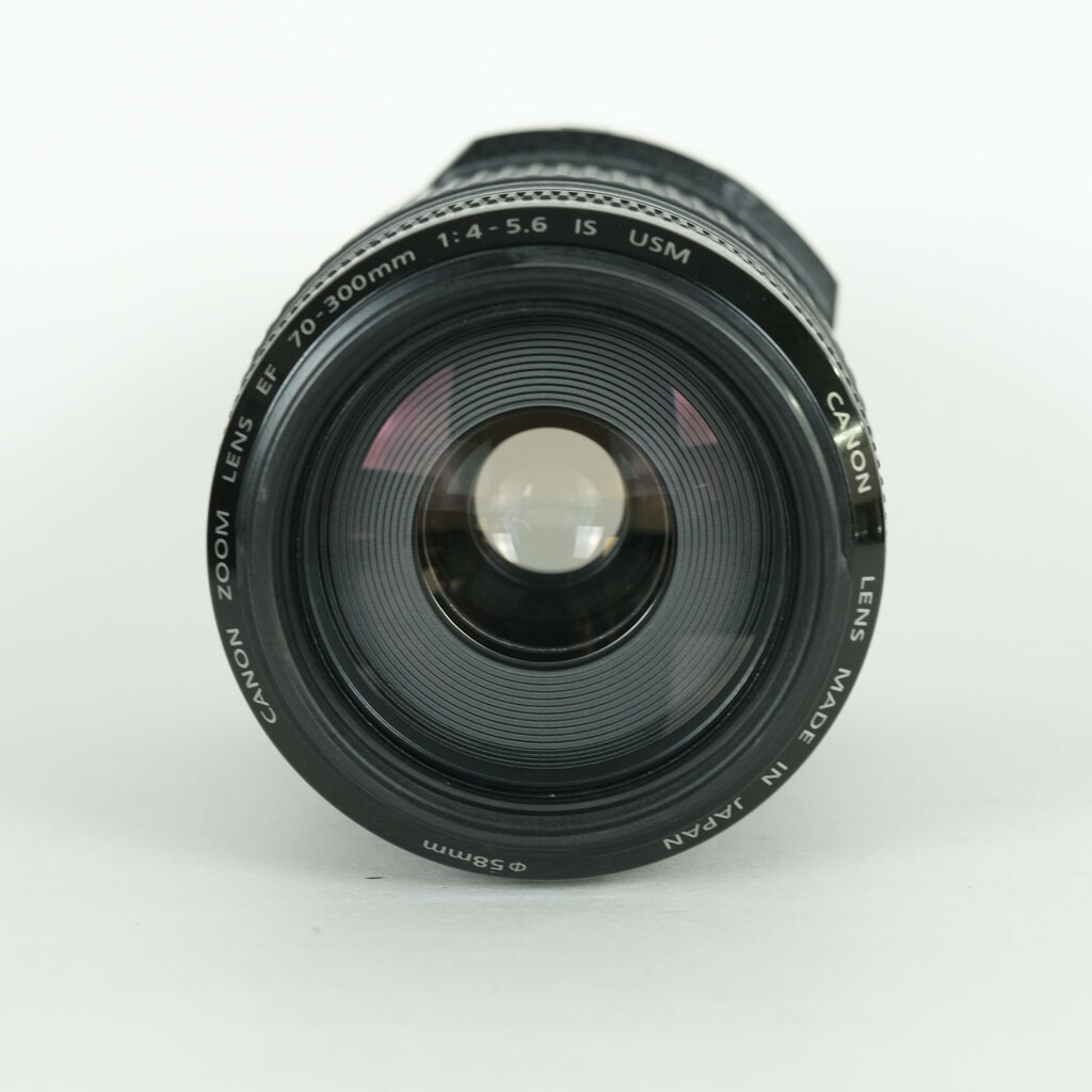 Canon EF70-300mm F4-5.6 IS USM Canon EF70-300mm F4-5.6 IS USM